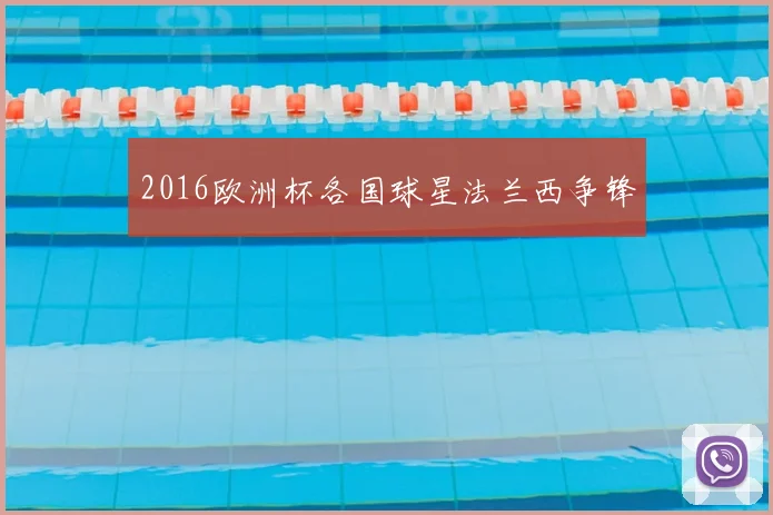 2016欧洲杯各国球星法兰西争锋