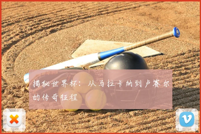 揭秘世界杯：从马拉卡纳到卢赛尔的传奇征程