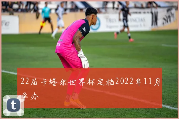 22届卡塔尔世界杯定档2022年11月举办
