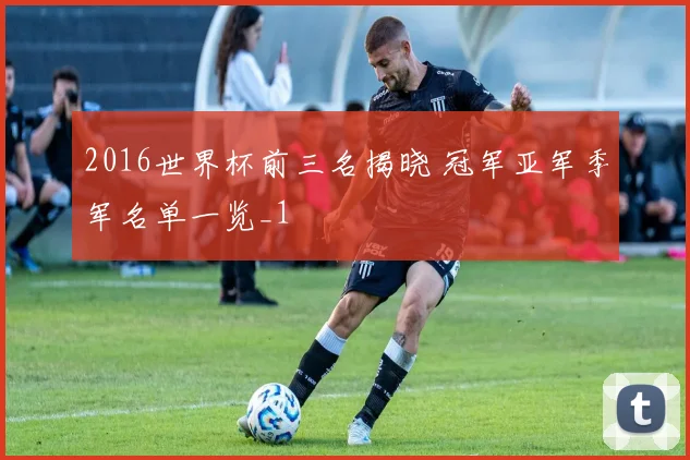 2016世界杯前三名揭晓 冠军亚军季军名单一览_1