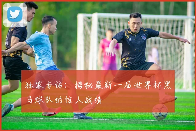 独家专访:揭秘最新一届世界杯黑马球队的惊人战绩