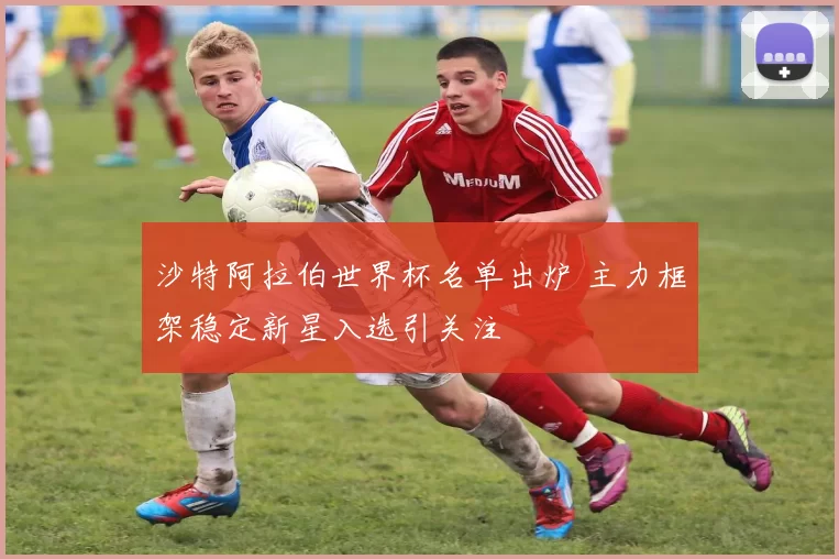 沙特阿拉伯世界杯名单出炉 主力框架稳定新星入选引关注