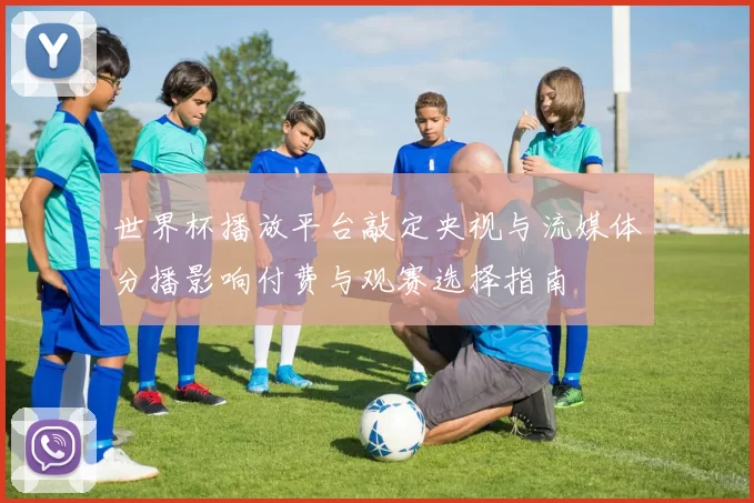 世界杯播放平台敲定央视与流媒体分播影响付费与观赛选择指南