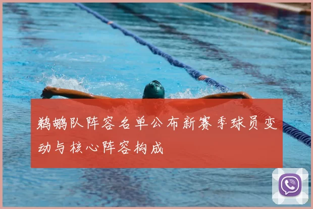 鹈鹕队阵容名单公布新赛季球员变动与核心阵容构成