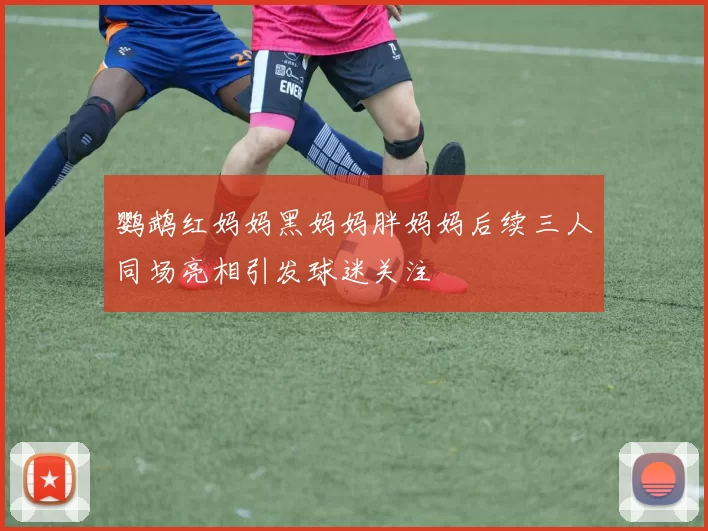 鹦鹉红妈妈黑妈妈胖妈妈后续三人同场亮相引发球迷关注