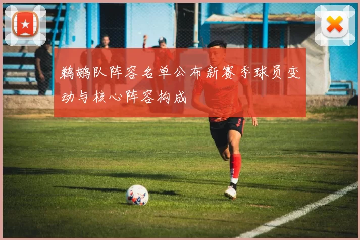 鹈鹕队阵容名单公布新赛季球员变动与核心阵容构成