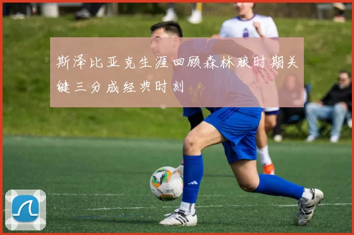 斯泽比亚克生涯回顾森林狼时期关键三分成经典时刻