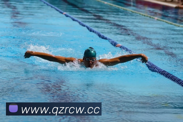 多媒体互动体验